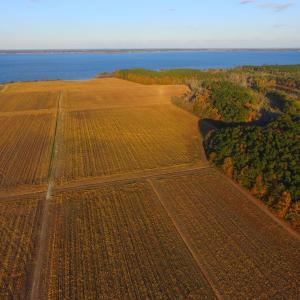 Photo #42 of Off Harvest Point Road, Elizabeth City, NC 170.0 acres