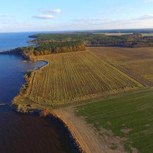 Photo #45 of Off Harvest Point Road, Elizabeth City, NC 170.0 acres