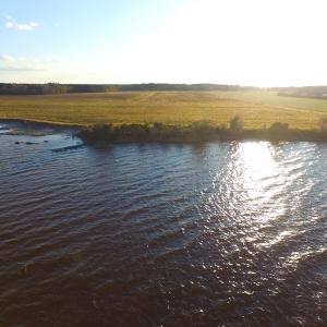 Photo #46 of Off Harvest Point Road, Elizabeth City, NC 170.0 acres