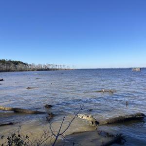 Photo #50 of Off Harvest Point Road, Elizabeth City, NC 170.0 acres