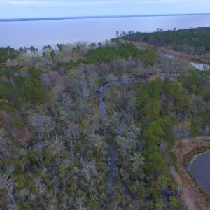 Photo #52 of Off Harvest Point Road, Elizabeth City, NC 170.0 acres