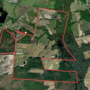 Photo #45 of 750 Sumner Road, Pink Hill, NC 230.0 acres