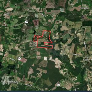Photo #46 of 750 Sumner Road, Pink Hill, NC 230.0 acres