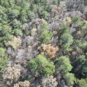 Photo #13 of SOLD property in Off River Road , Henrico, NC 2.5 acres