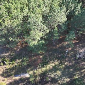 Photo #16 of SOLD property in Off River Road , Henrico, NC 2.5 acres