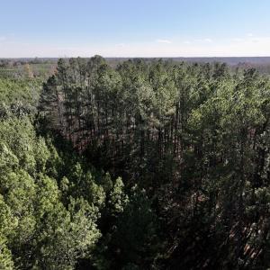 Photo #17 of SOLD property in Off River Road , Henrico, NC 2.5 acres