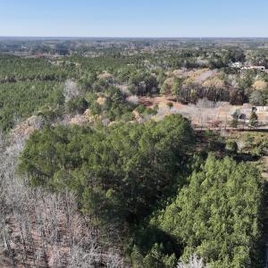 Photo #13 of SOLD property in Off River Road, Henrico, NC 2.5 acres