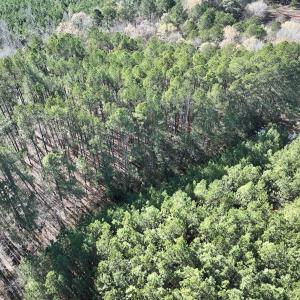 Photo #14 of SOLD property in Off River Road, Henrico, NC 2.5 acres