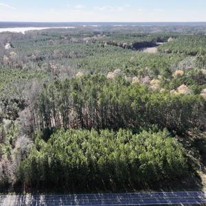 Photo #2 of SOLD property in Off River Road, Henrico, NC 2.5 acres