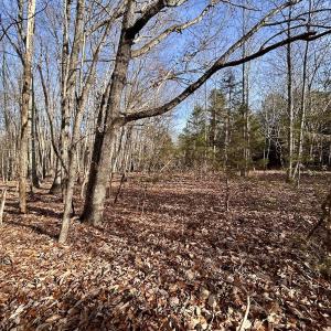 Photo #10 of SOLD property in Off Wheeler Rd, Lynchburg, VA 82.2 acres