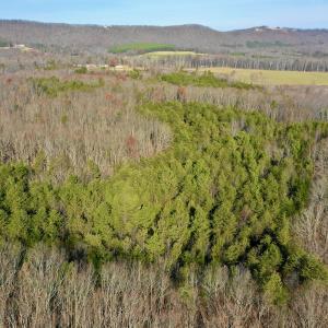 Photo #11 of SOLD property in Off Wheeler Rd, Lynchburg, VA 82.2 acres