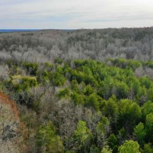 Photo #12 of SOLD property in Off Wheeler Rd, Lynchburg, VA 82.2 acres