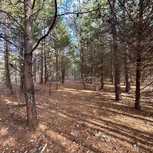 Photo #14 of SOLD property in Off Wheeler Rd, Lynchburg, VA 82.2 acres