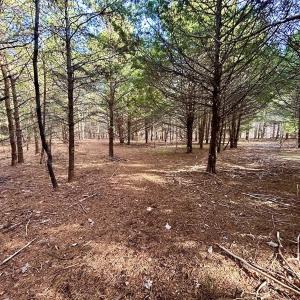 Photo #16 of SOLD property in Off Wheeler Rd, Lynchburg, VA 82.2 acres
