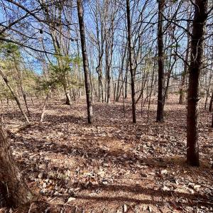 Photo #18 of SOLD property in Off Wheeler Rd, Lynchburg, VA 82.2 acres