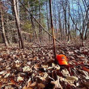 Photo #19 of SOLD property in Off Wheeler Rd, Lynchburg, VA 82.2 acres