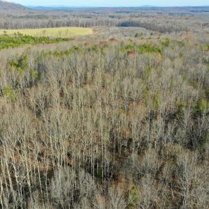 Photo #2 of SOLD property in Off Wheeler Rd, Lynchburg, VA 82.2 acres