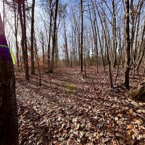 Photo #20 of SOLD property in Off Wheeler Rd, Lynchburg, VA 82.2 acres
