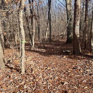 Photo #6 of SOLD property in Off Wheeler Rd, Lynchburg, VA 82.2 acres