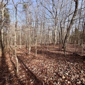 Photo #8 of SOLD property in Off Wheeler Rd, Lynchburg, VA 82.2 acres