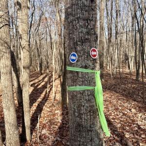 Photo #9 of SOLD property in Off Wheeler Rd, Lynchburg, VA 82.2 acres