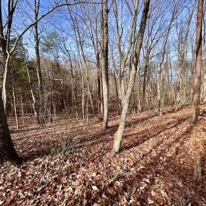 Photo #21 of SOLD property in Off Wheeler Rd, Lynchburg, VA 82.2 acres