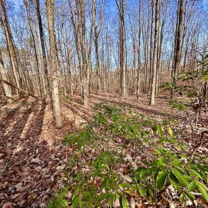 Photo #23 of SOLD property in Off Wheeler Rd, Lynchburg, VA 82.2 acres
