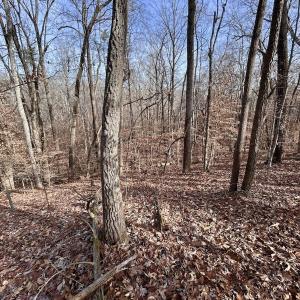 Photo #24 of SOLD property in Off Wheeler Rd, Lynchburg, VA 82.2 acres