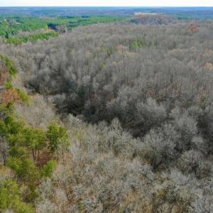 Photo #26 of SOLD property in Off Wheeler Rd, Lynchburg, VA 82.2 acres