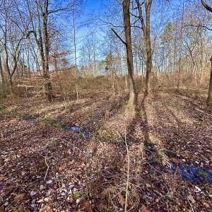 Photo #29 of SOLD property in Off Wheeler Rd, Lynchburg, VA 82.2 acres