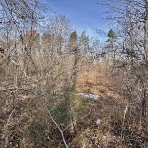 Photo #32 of SOLD property in Off Wheeler Rd, Lynchburg, VA 82.2 acres