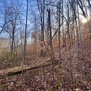 Photo #33 of SOLD property in Off Wheeler Rd, Lynchburg, VA 82.2 acres