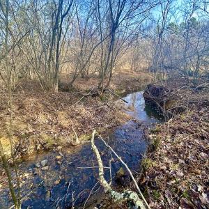 Photo #34 of SOLD property in Off Wheeler Rd, Lynchburg, VA 82.2 acres