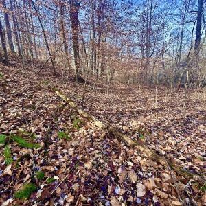 Photo #35 of SOLD property in Off Wheeler Rd, Lynchburg, VA 82.2 acres