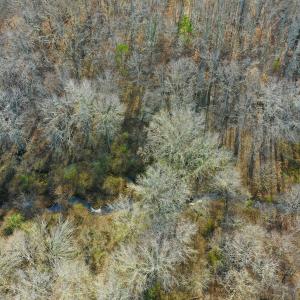 Photo #36 of SOLD property in Off Wheeler Rd, Lynchburg, VA 82.2 acres
