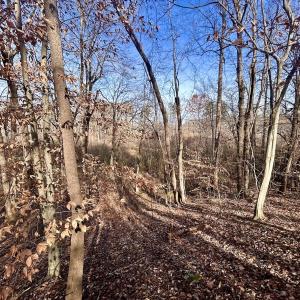 Photo #39 of SOLD property in Off Wheeler Rd, Lynchburg, VA 82.2 acres