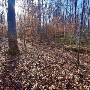 Photo #40 of SOLD property in Off Wheeler Rd, Lynchburg, VA 82.2 acres