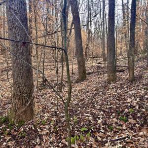 Photo #41 of SOLD property in Off Wheeler Rd, Lynchburg, VA 82.2 acres
