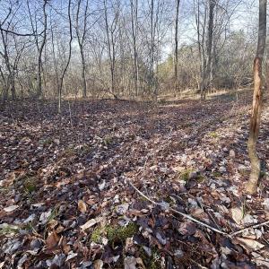 Photo #43 of SOLD property in Off Wheeler Rd, Lynchburg, VA 82.2 acres