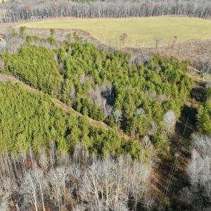 Photo #45 of SOLD property in Off Wheeler Rd, Lynchburg, VA 82.2 acres