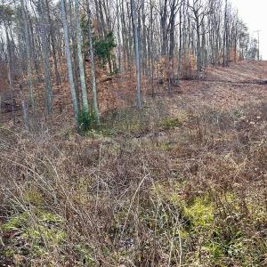 Photo #49 of SOLD property in Off Wheeler Rd, Lynchburg, VA 82.2 acres