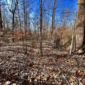 Photo #50 of SOLD property in Off Wheeler Rd, Lynchburg, VA 82.2 acres