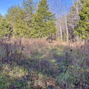 Photo #51 of SOLD property in Off Wheeler Rd, Lynchburg, VA 82.2 acres