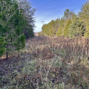 Photo #52 of SOLD property in Off Wheeler Rd, Lynchburg, VA 82.2 acres