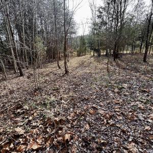 Photo #53 of SOLD property in Off Wheeler Rd, Lynchburg, VA 82.2 acres