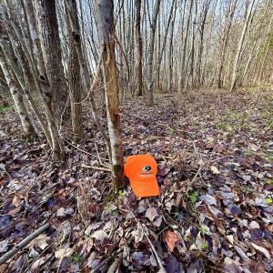Photo #54 of SOLD property in Off Wheeler Rd, Lynchburg, VA 82.2 acres