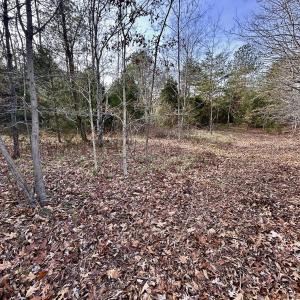 Photo #55 of SOLD property in Off Wheeler Rd, Lynchburg, VA 82.2 acres