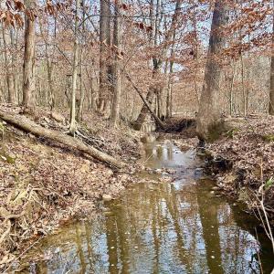 Photo #60 of SOLD property in Off Wheeler Rd, Lynchburg, VA 82.2 acres