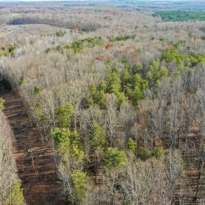 Photo #62 of SOLD property in Off Wheeler Rd, Lynchburg, VA 82.2 acres