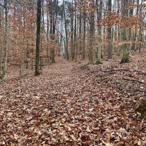 Photo #63 of SOLD property in Off Wheeler Rd, Lynchburg, VA 82.2 acres